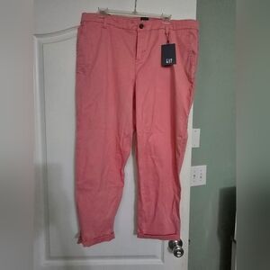 GAP Salmon Pink Trousers